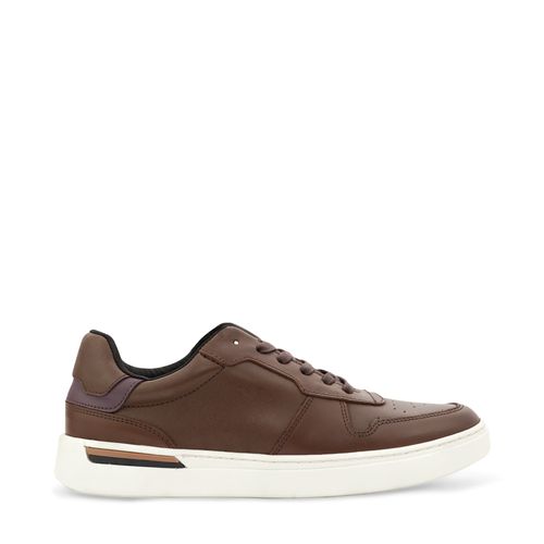 Tenis Mauro Color Café D06300139550