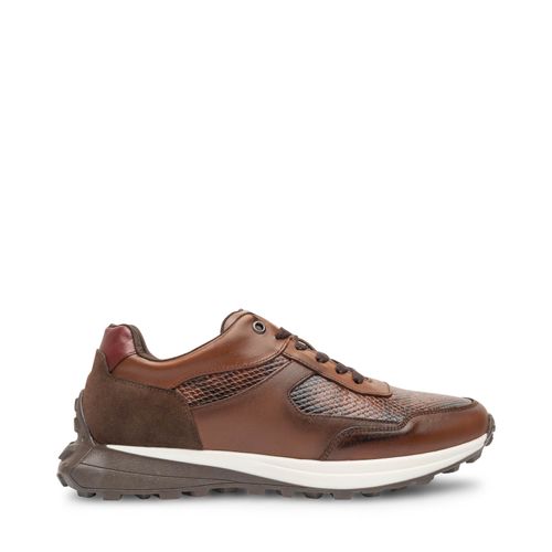Tenis Mauro Color Café D06300167550