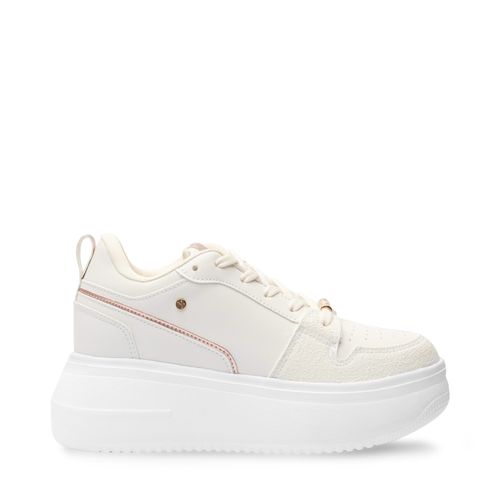 Tenis Dania Color Latte D16780015631