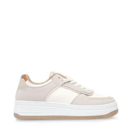 Tenis Taylor Color Latte D12220366631