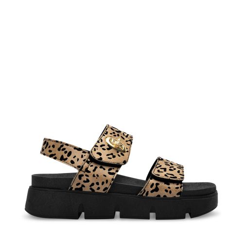 Sandalia Dalia Color Café Leopardo D15440076557