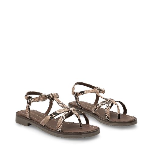 Sandalia Luz Color Café Snake D17050003558