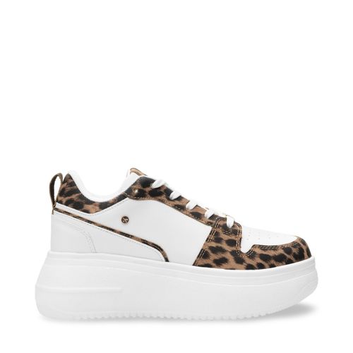 Tenis Dania Color Café Leopardo D16780015557