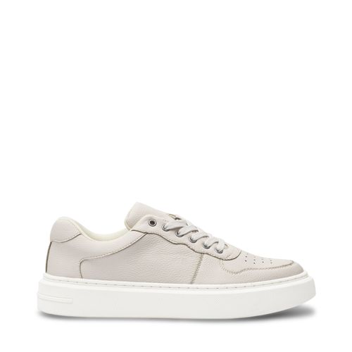 Tenis Saul Color Latte D80100003631